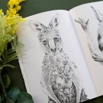 Colouring Book | Wild Australia Colouring Book | Wild Australia